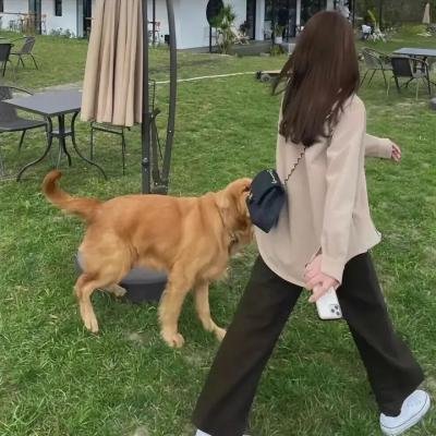 后厨